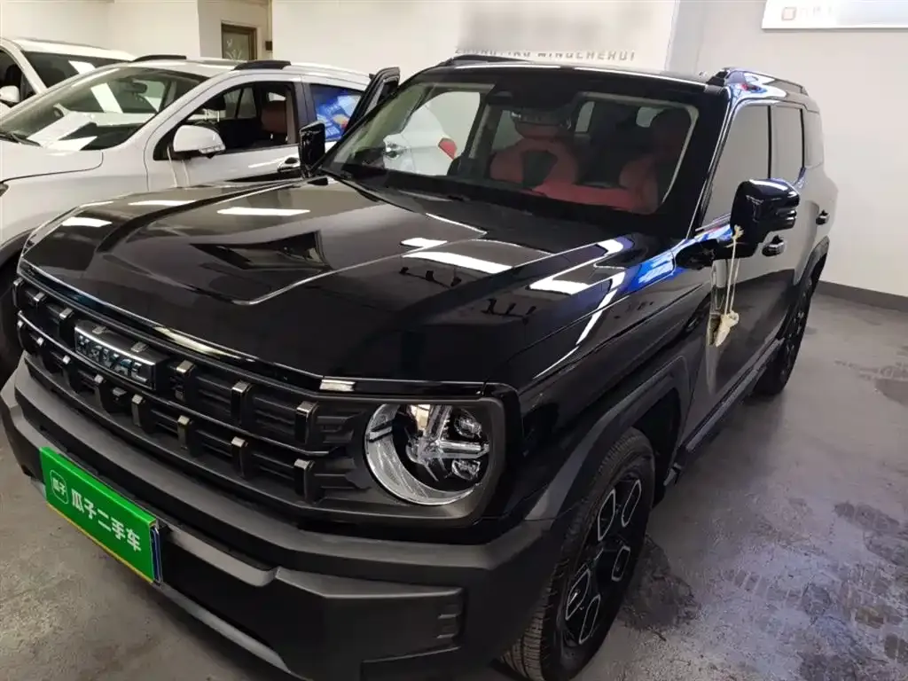 Haval Cool Dog 2022 из CN, фото 6