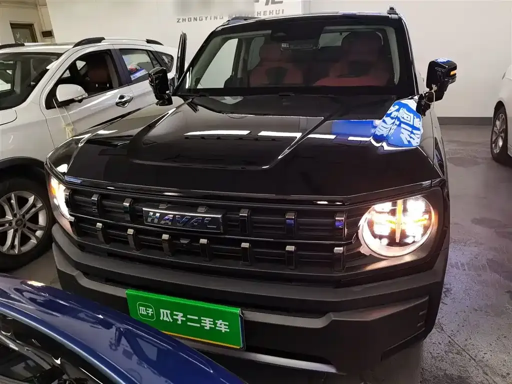 Haval Cool Dog 2022 из CN, фото 8