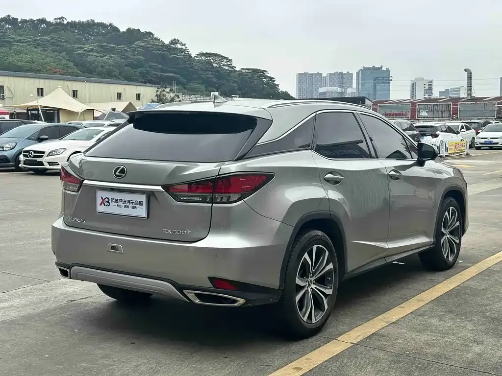 Lexus RX — фото 8