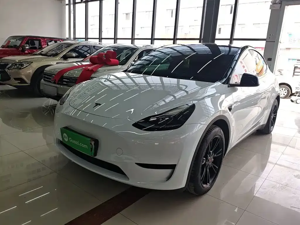 Tesla Model Y — фото 10