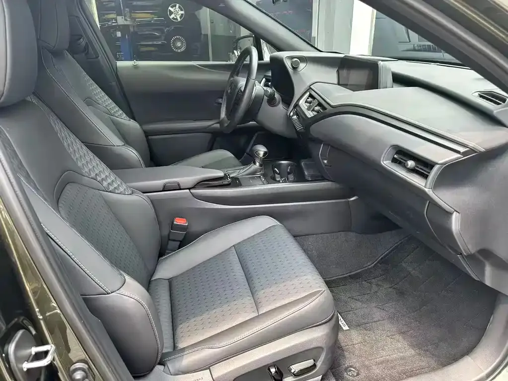 Lexus UX 2021 из CN, фото 6