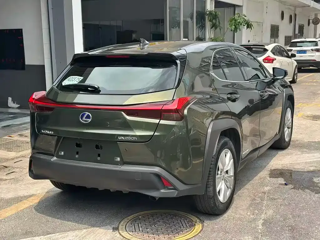 Lexus UX 2021 из CN, фото 7