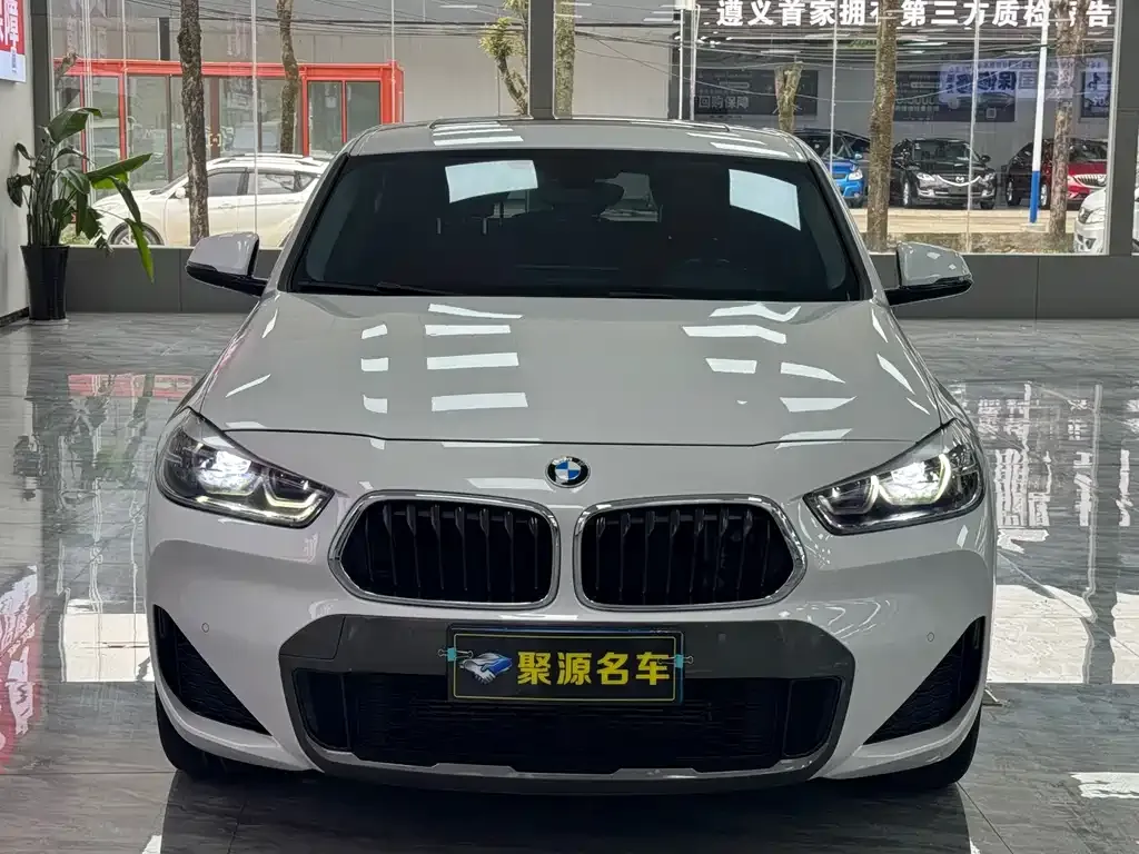BMW X2 2022 из CN, фото 5