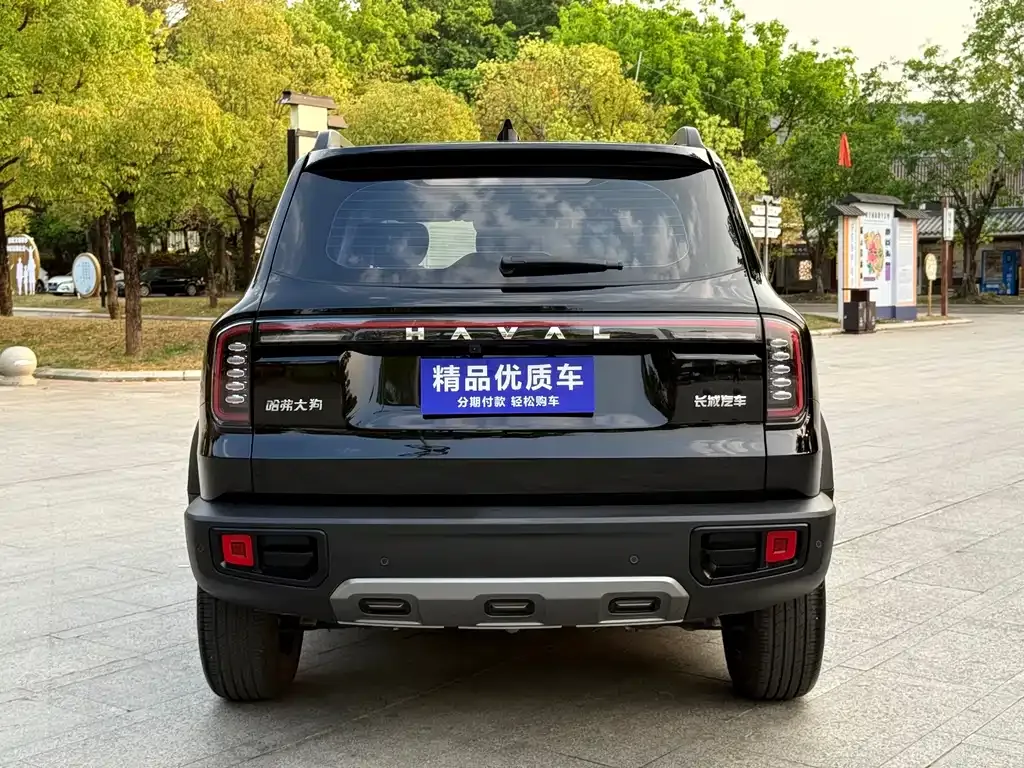 Haval Big Dog — фото 9