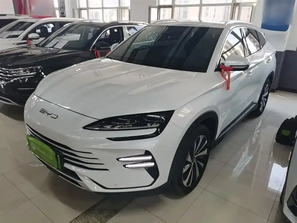 BYD PLUS New Energy — фото 1