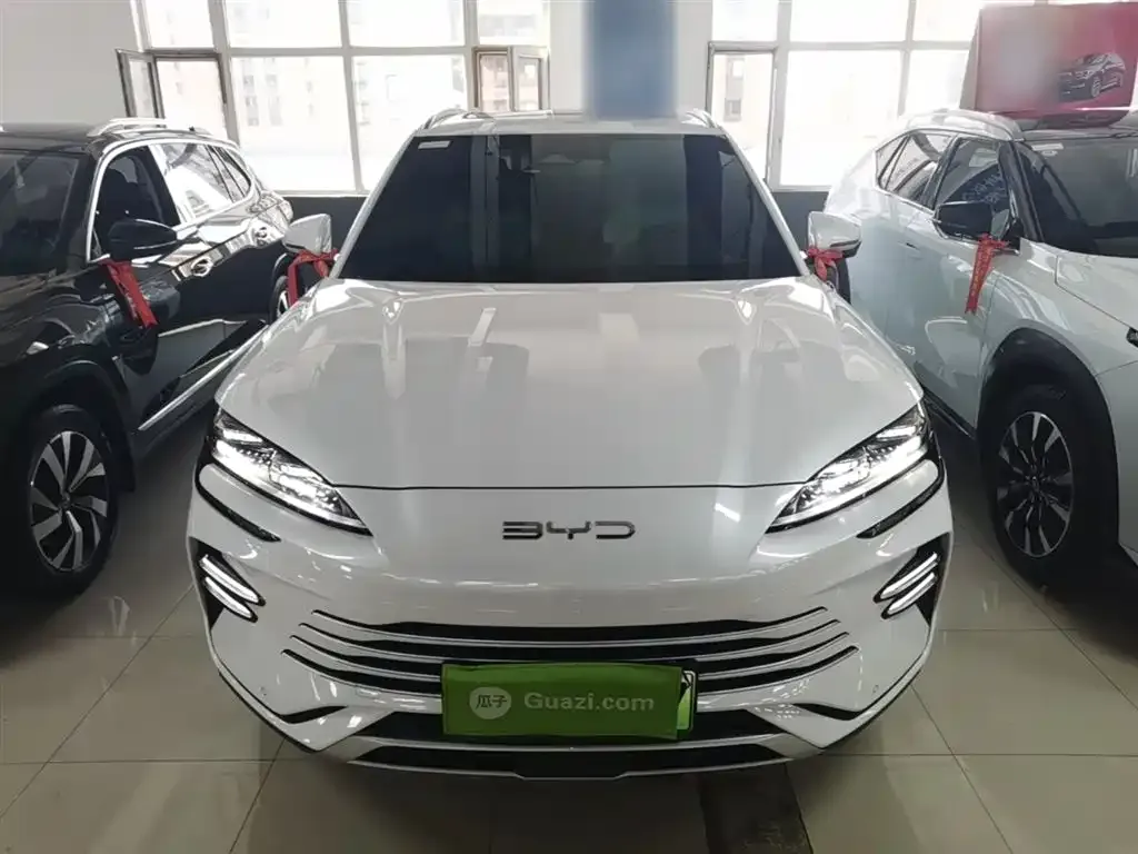 BYD PLUS New Energy — фото 10