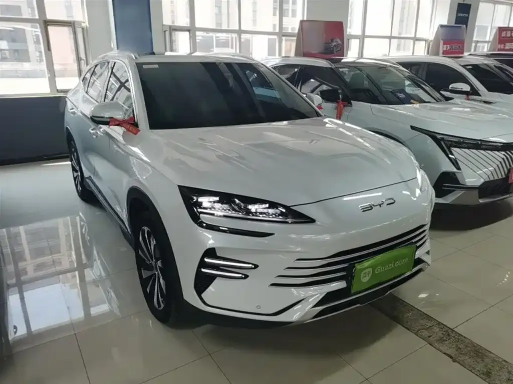 BYD PLUS New Energy — фото 7