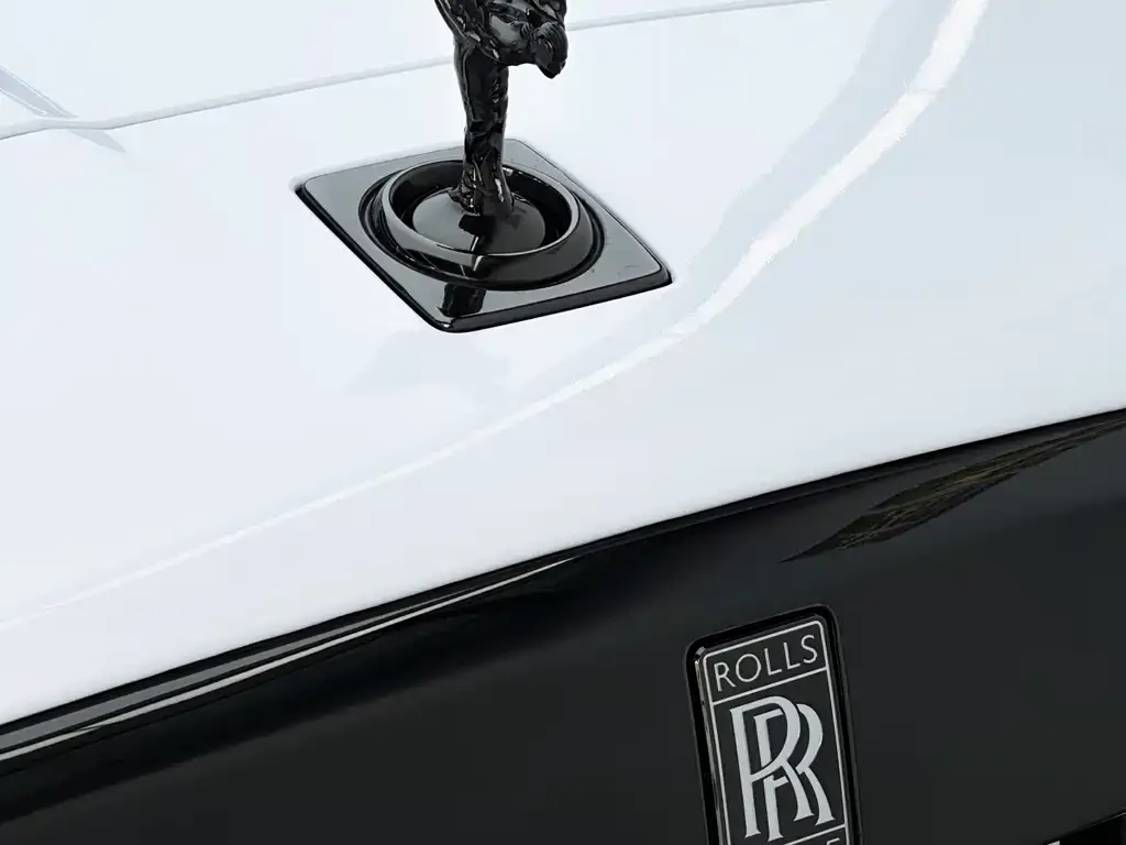 Rolls-Royce Cullinan 2021 из CN, фото 5