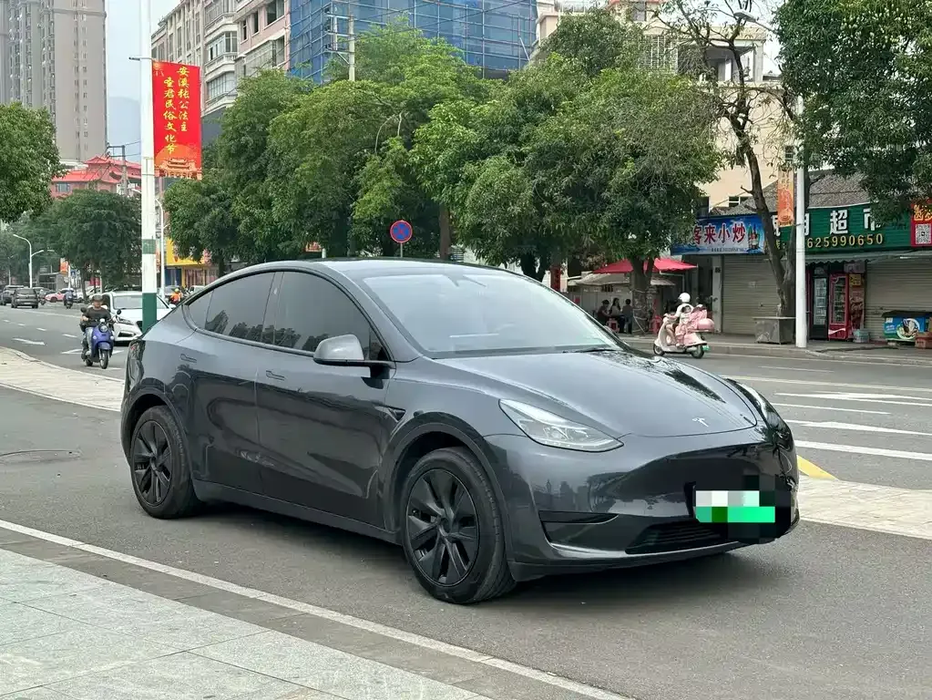 Tesla Model Y — фото 9