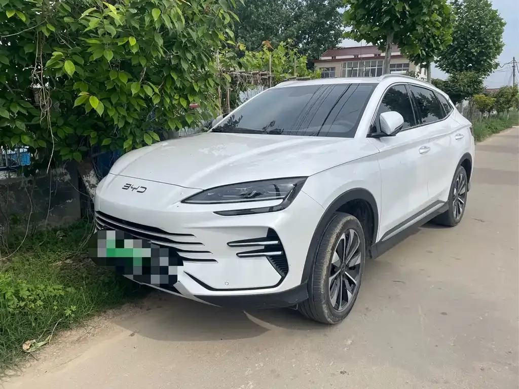 BYD PLUS New Energy — фото 1