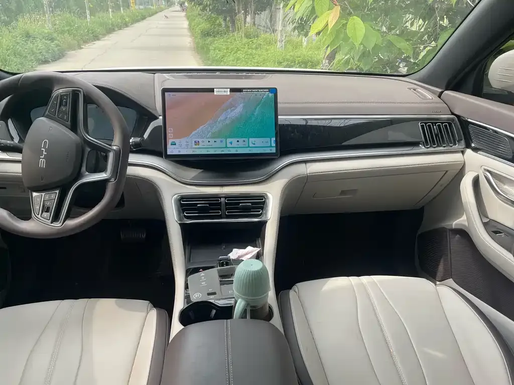 BYD PLUS New Energy — фото 6