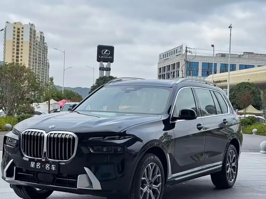 BMW X7 — фото 10