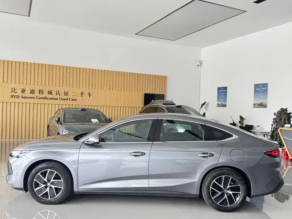 BYD Qin L — фото 2