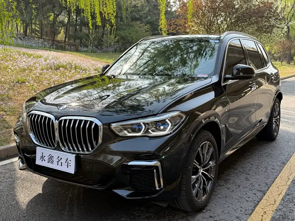 BMW X5 — фото 1