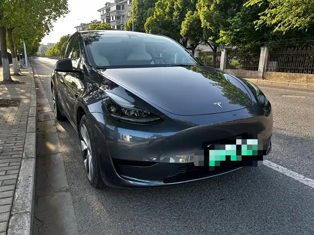 Tesla Model Y — фото 10