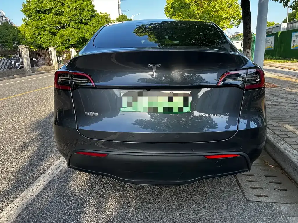 Tesla Model Y — фото 9