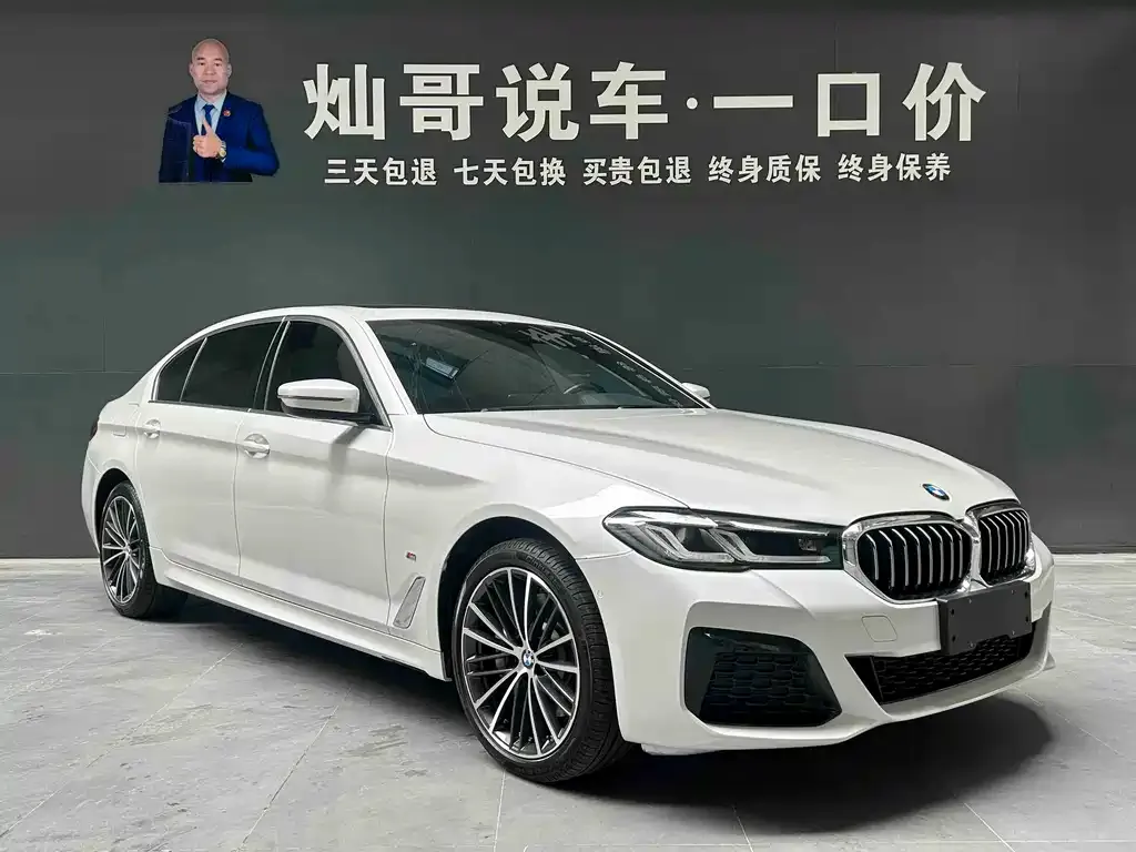 BMW 5 Series 2023 из CN, фото 6