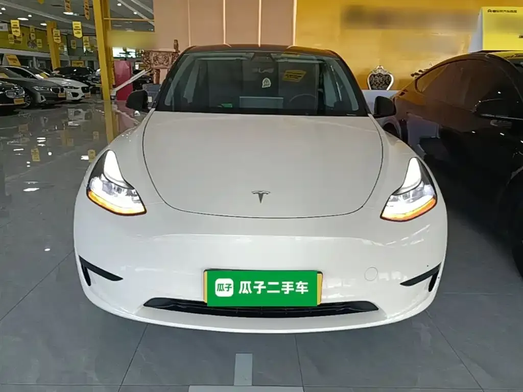 Tesla Model Y — фото 8