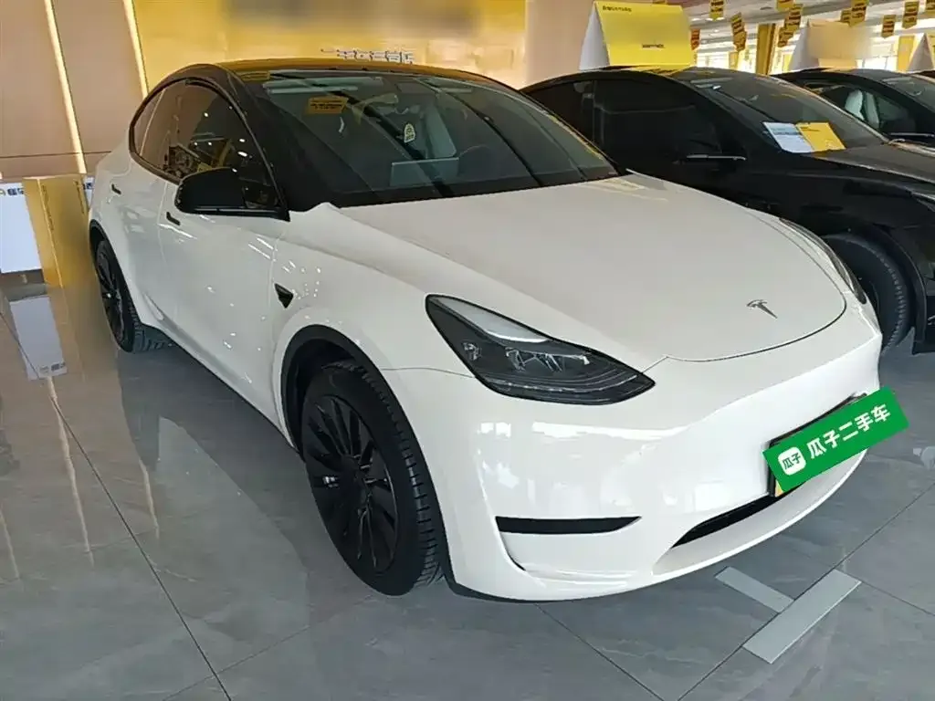 Tesla Model Y — фото 5