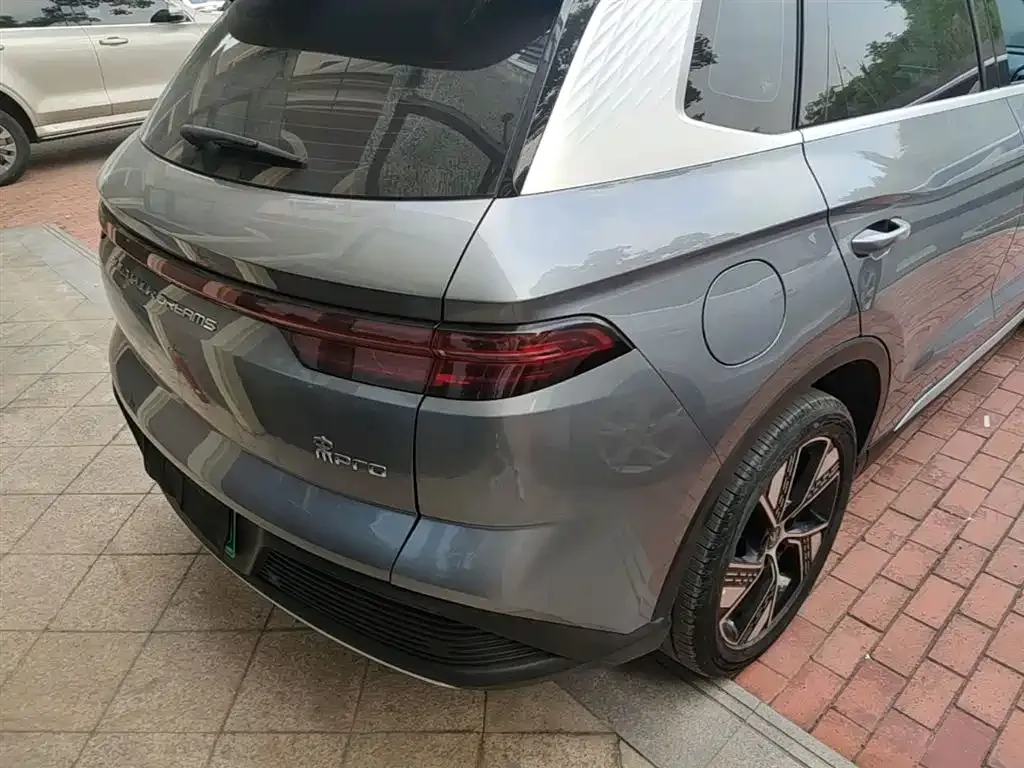 BYD Pro New Energy — фото 3