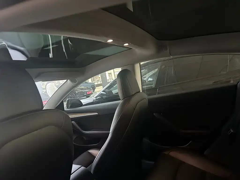 Tesla Model 3 2023 из CN, фото 2