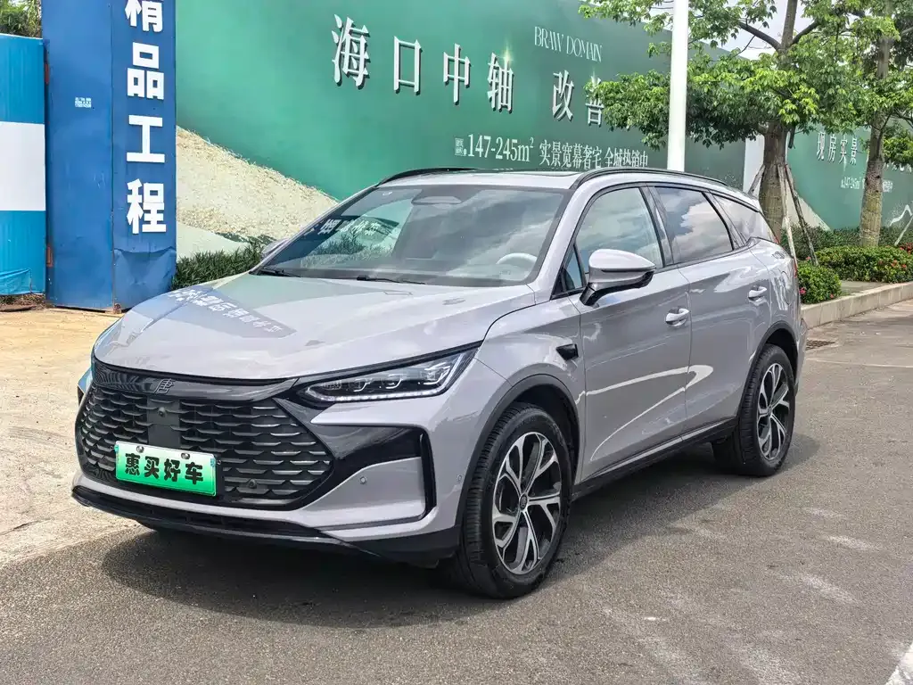 BYD Tang New Energy — фото 1