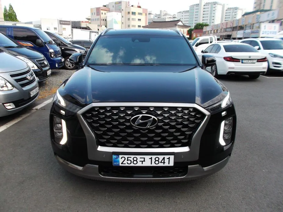 Hyundai Palisade — фото 1