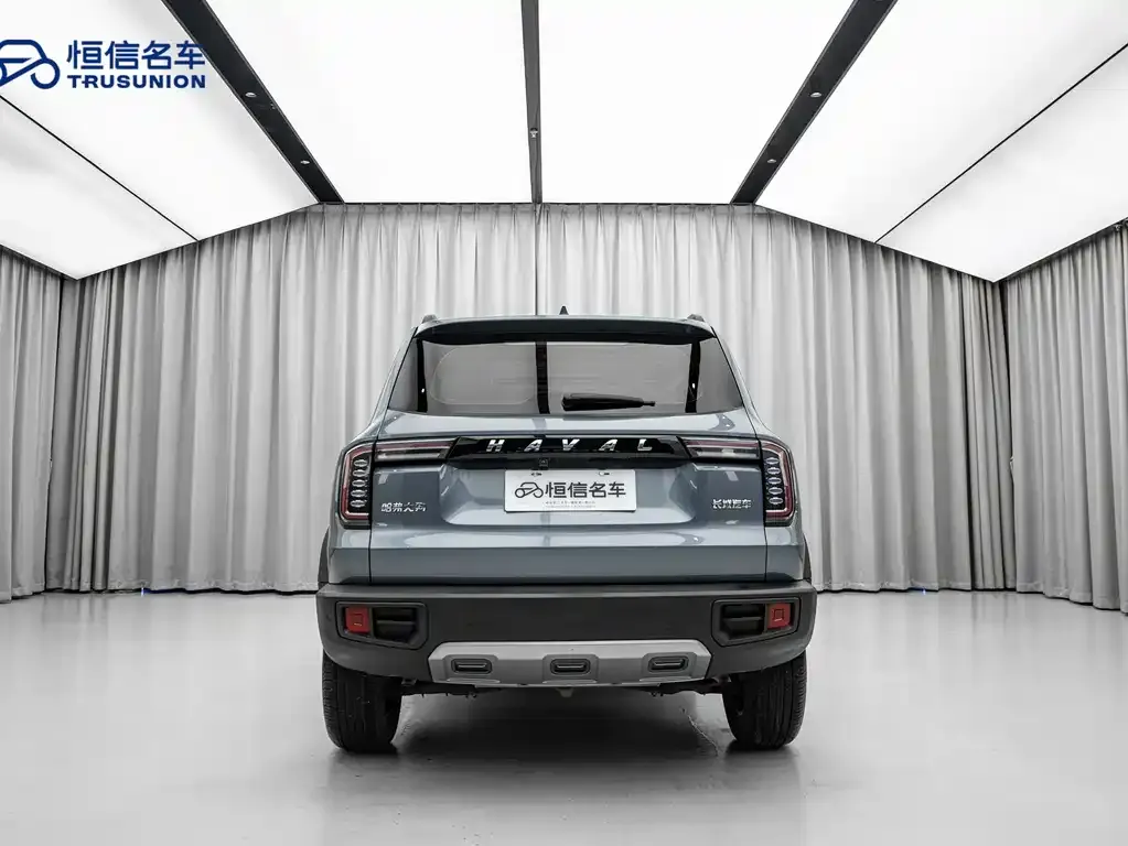 Haval Big Dog — фото 7