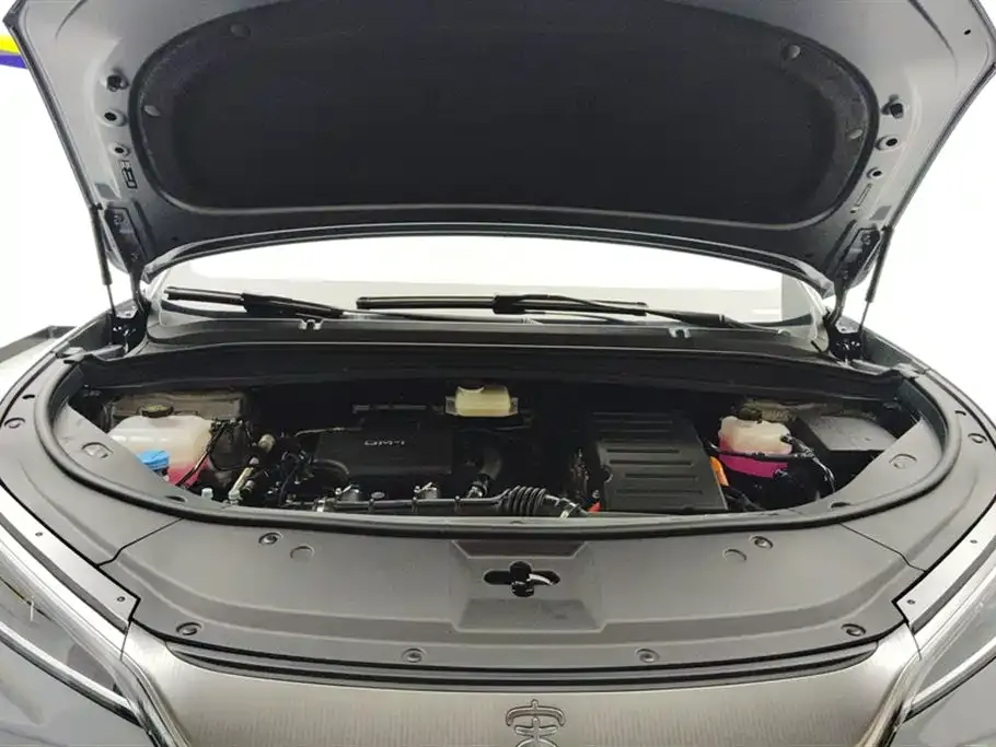 BYD L DM-i 2024 из CN, фото 10