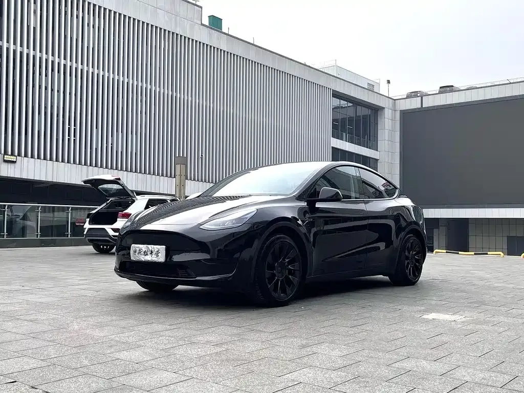 Tesla Model Y — фото 1