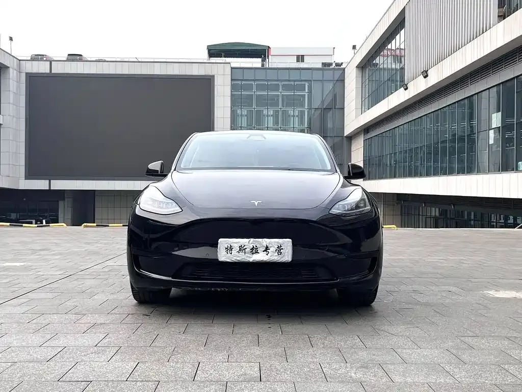 Tesla Model Y — фото 4