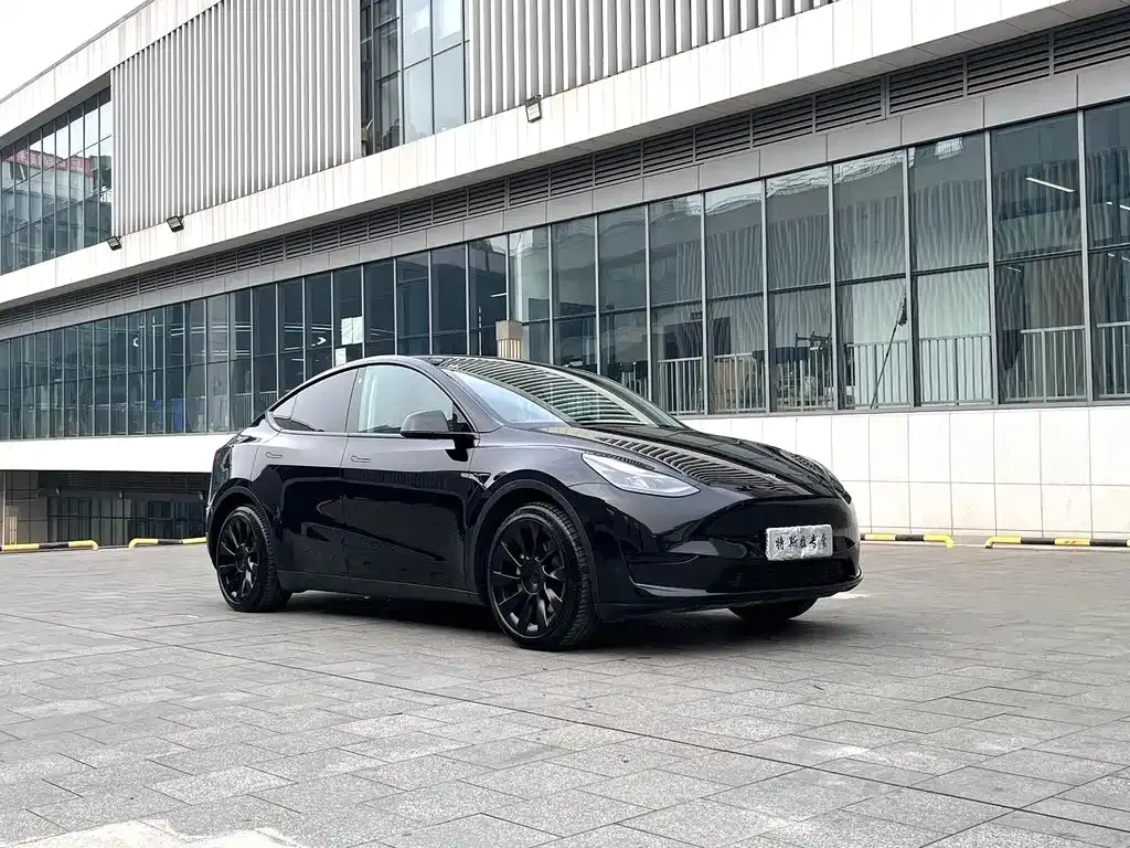 Tesla Model Y — фото 6