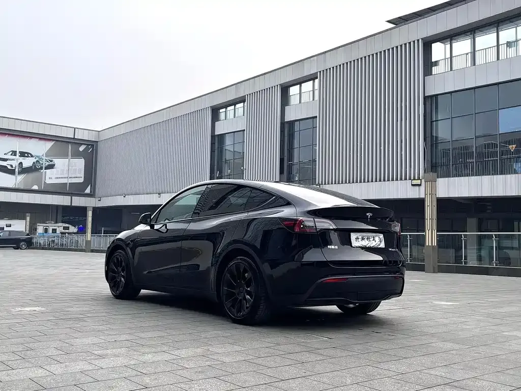 Tesla Model Y — фото 3