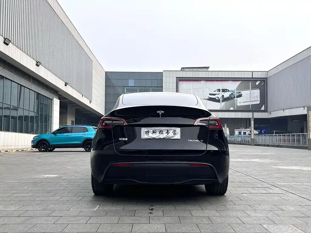 Tesla Model Y — фото 8