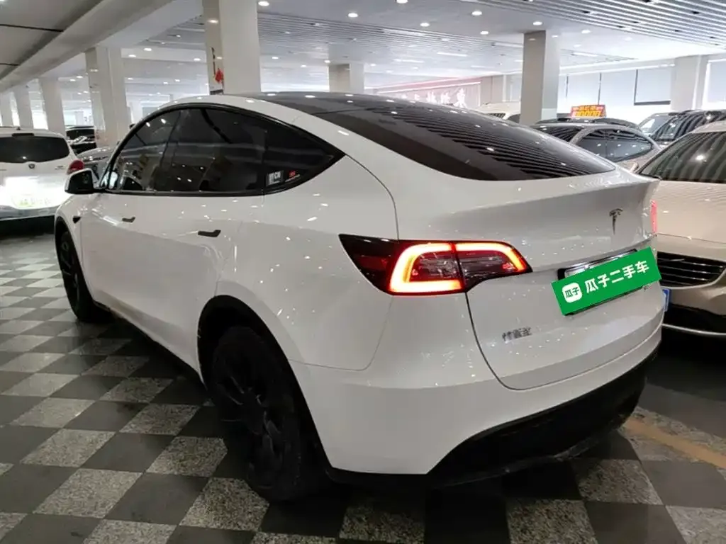 Tesla Model Y — фото 8