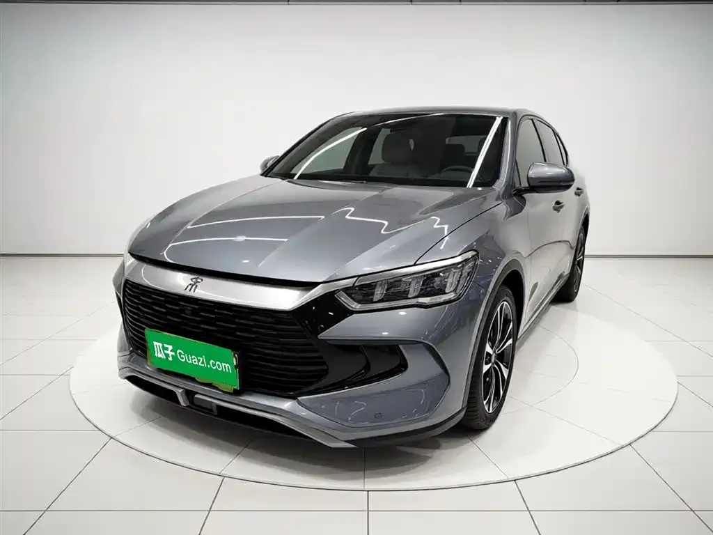 BYD Pro New Energy 2024 из CN, фото 4