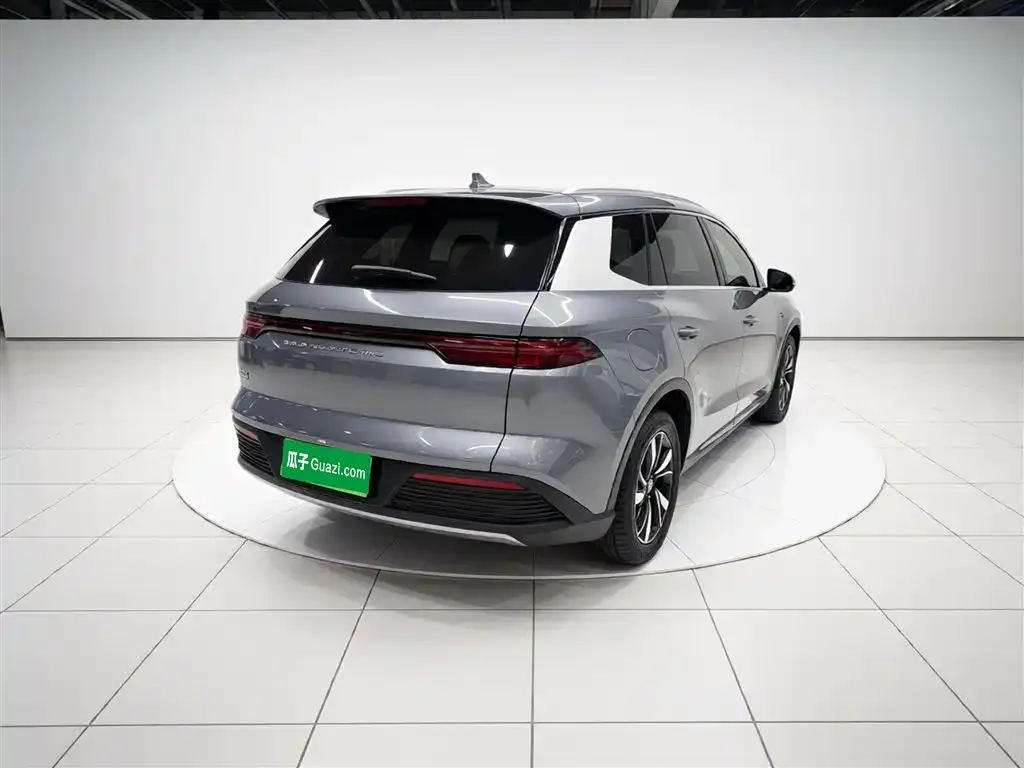 BYD Pro New Energy 2024 из CN, фото 2