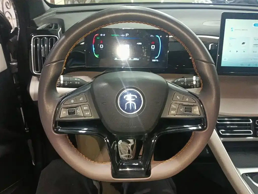 BYD Pro New Energy 2024 из CN, фото 9