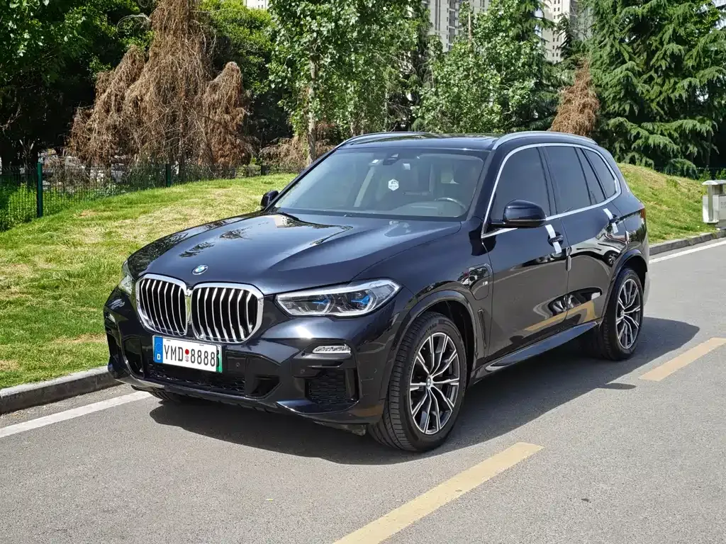 BMW X5 New Energy (Import)