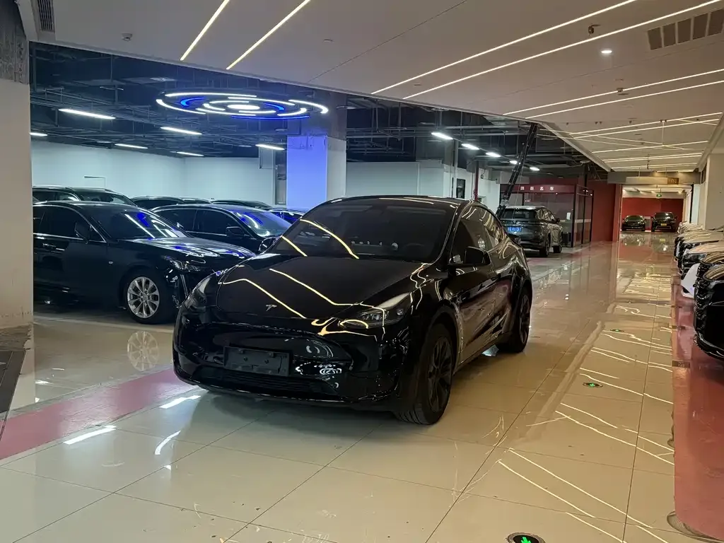 Tesla Model Y — фото 1