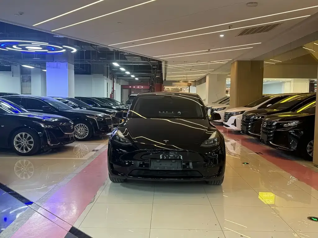 Tesla Model Y — фото 8