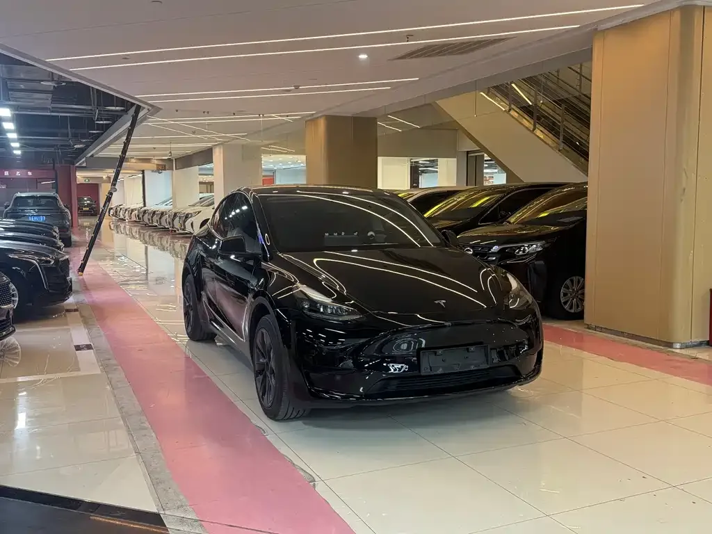 Tesla Model Y — фото 9