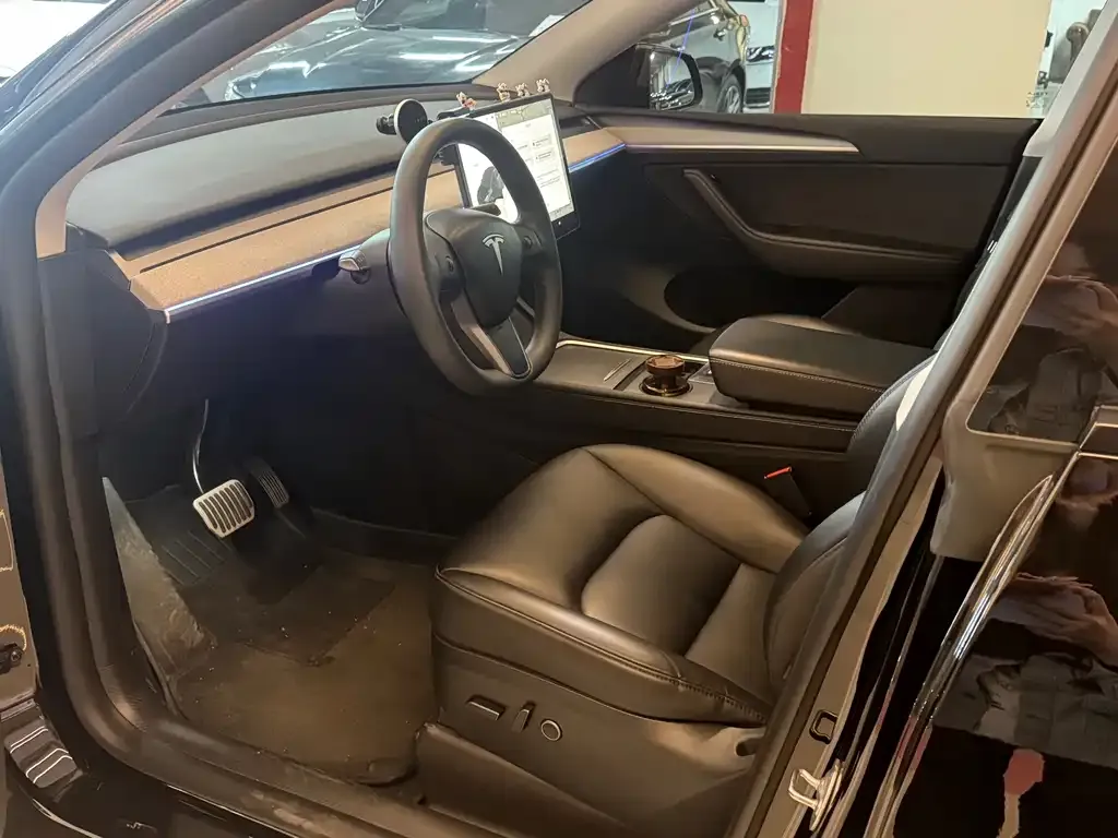 Tesla Model Y — фото 10