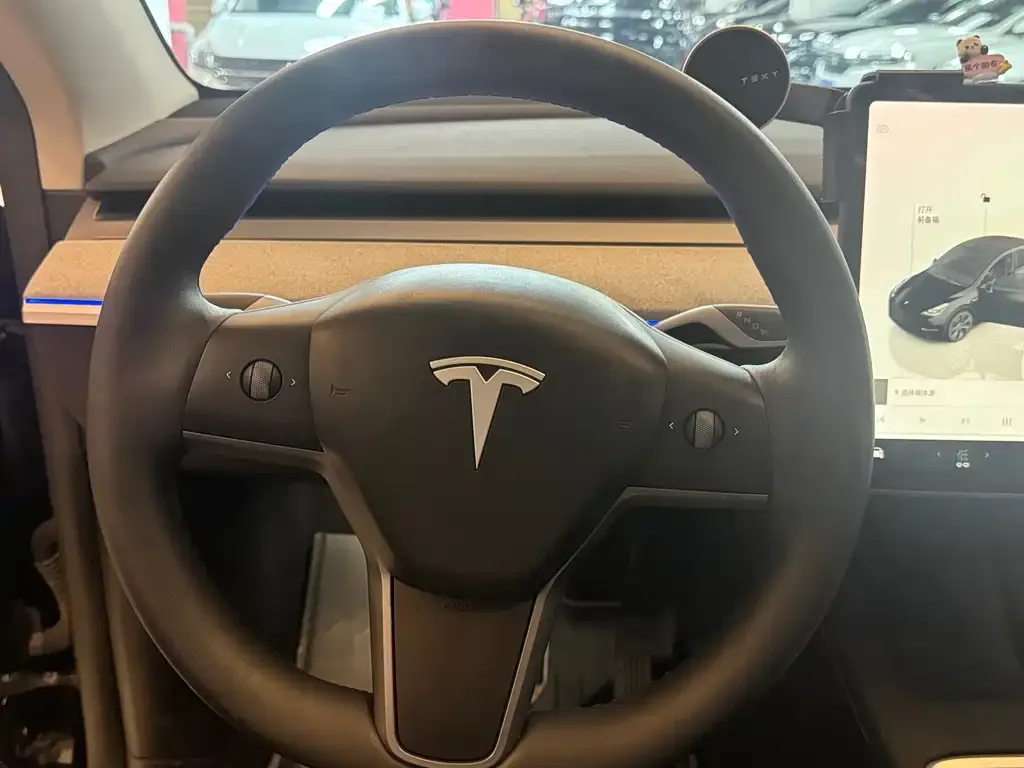 Tesla Model Y — фото 2