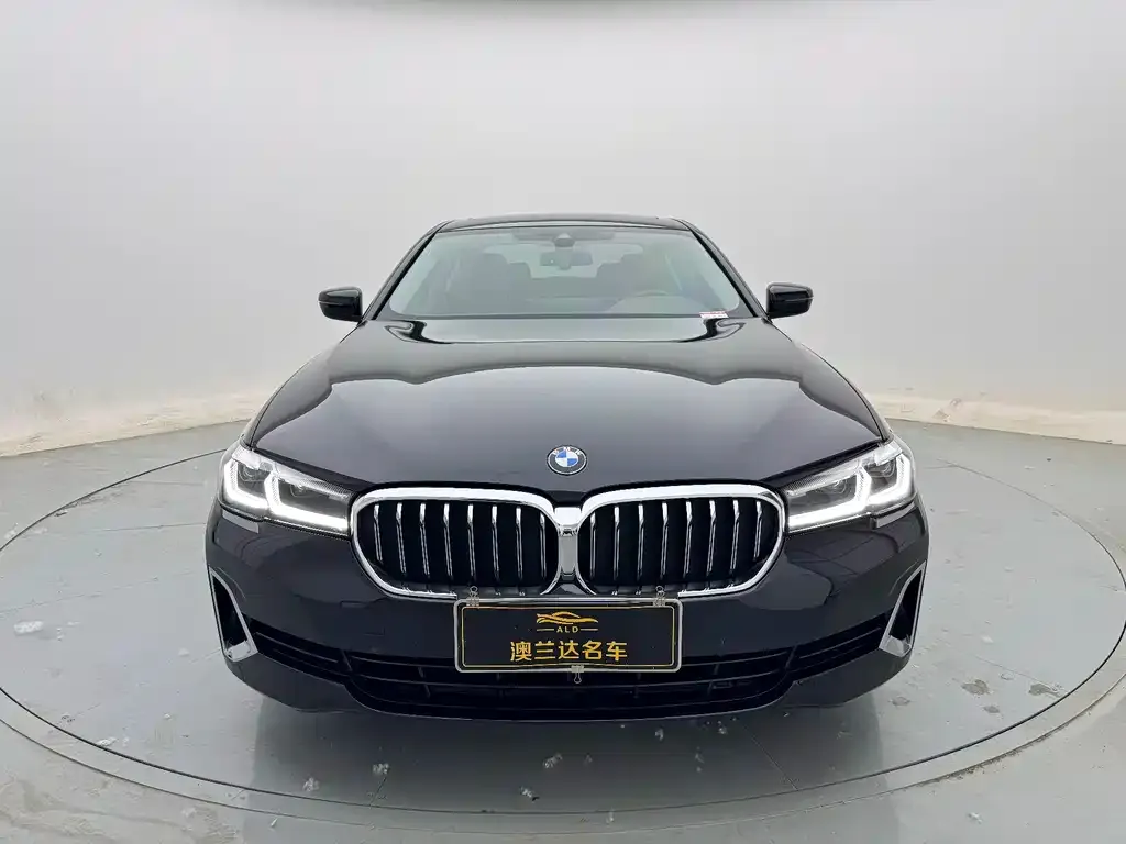 BMW 5 Series 2021 из CN, фото 4