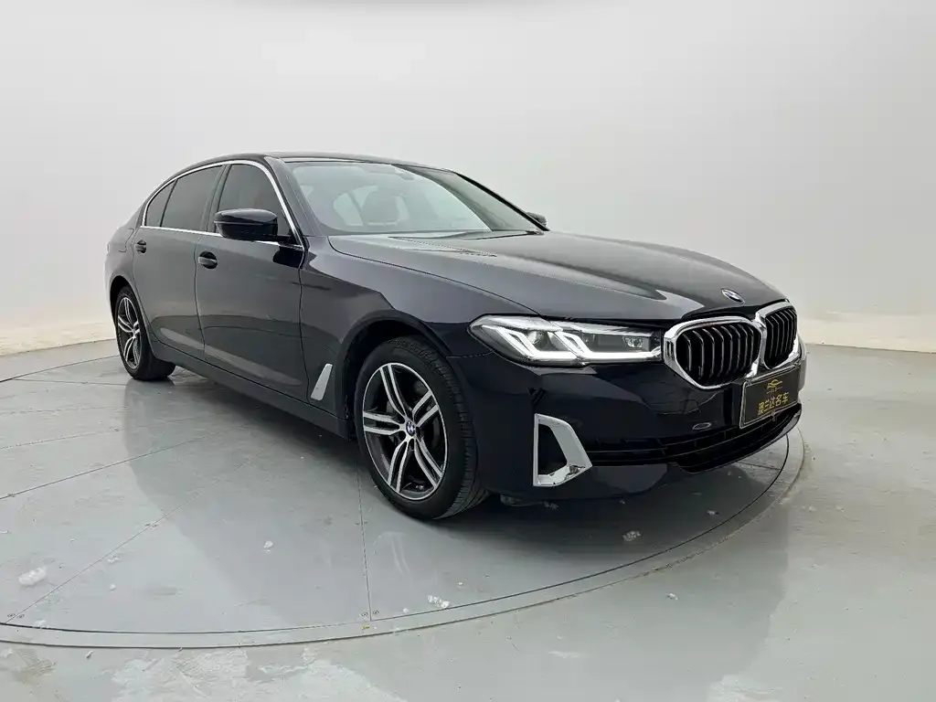 BMW 5 Series 2021 из CN, фото 3