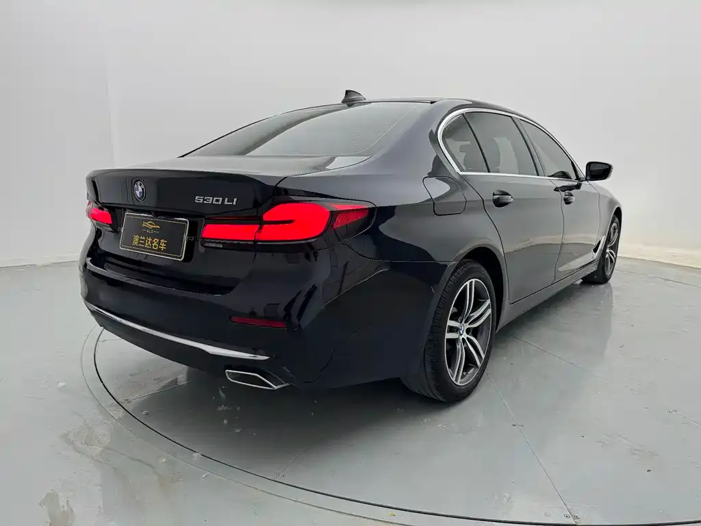 BMW 5 Series 2021 из CN, фото 5