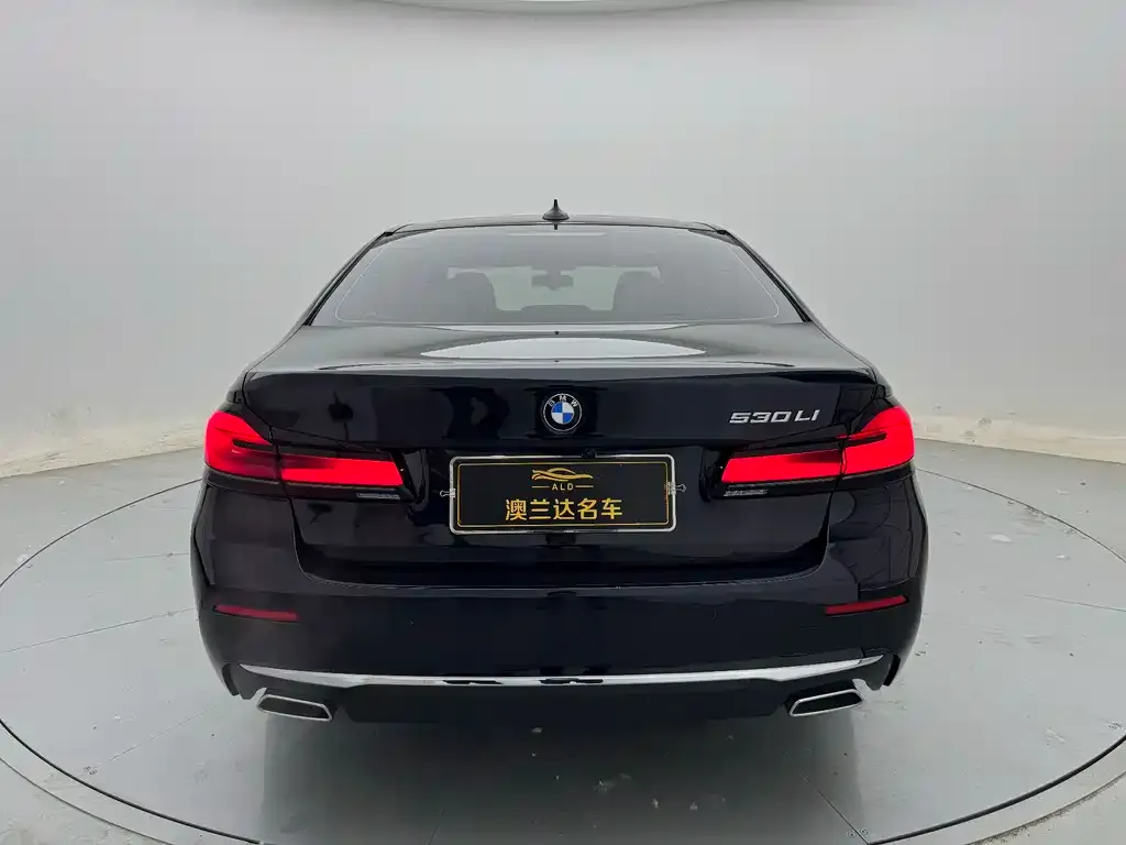 BMW 5 Series 2021 из CN, фото 2