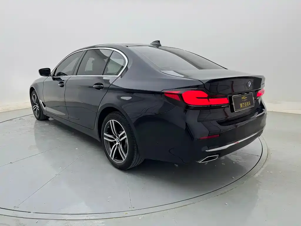 BMW 5 Series 2021 из CN, фото 9