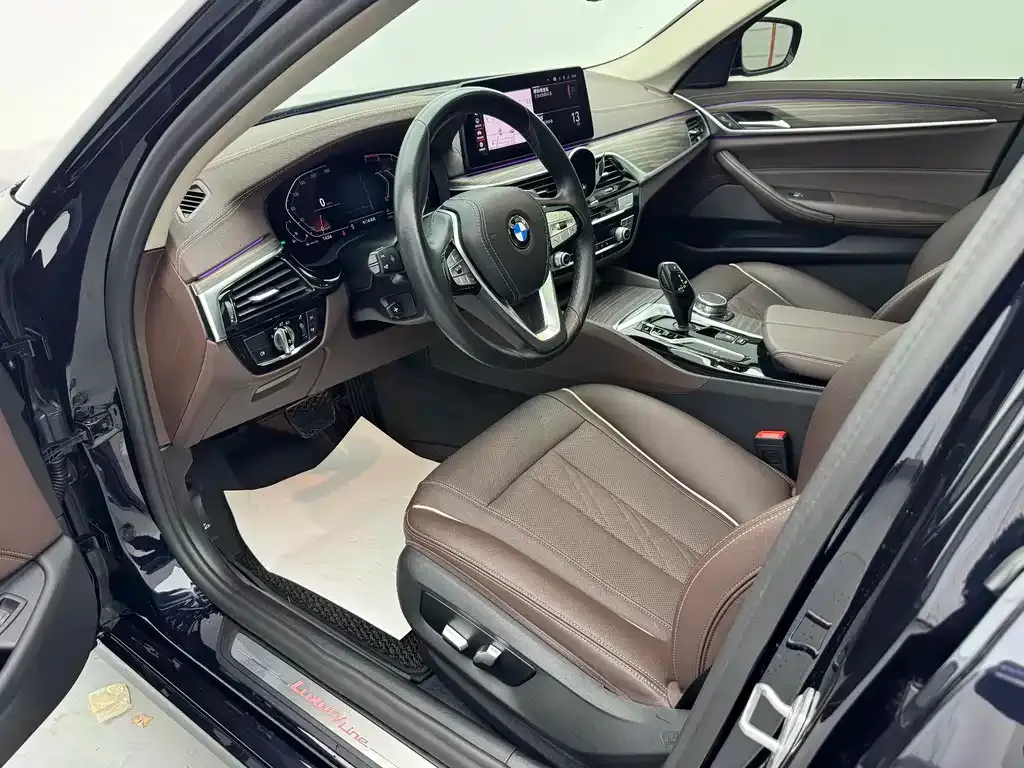 BMW 5 Series 2021 из CN, фото 10